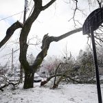 Ice Storm Insurance Claims Can Cover Car Damage, Fallen Trees – Even Spoiled Food